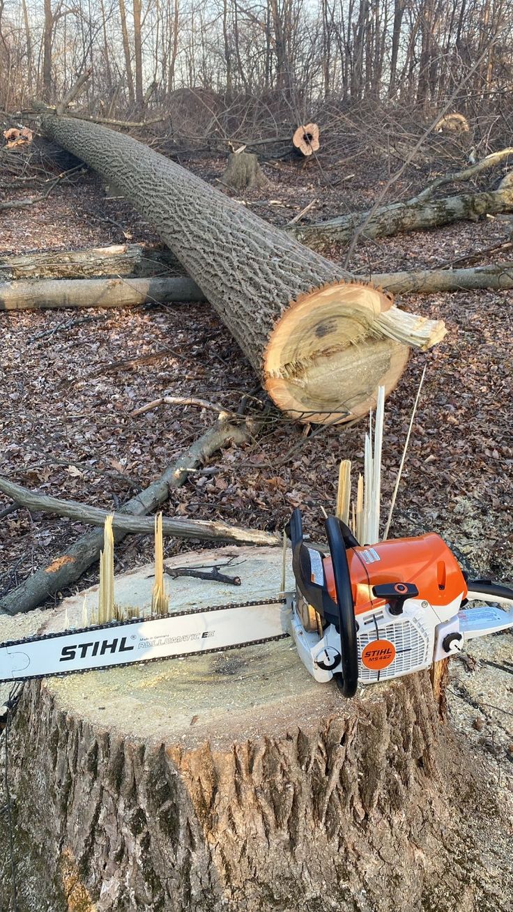 Trees R Us owner and team